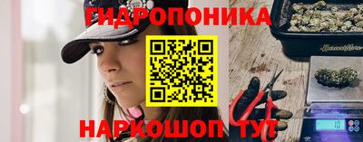 бутират Кингисепп